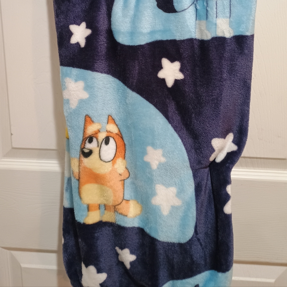 NEW Nickelodeon Bluey & Bingo Plush Throw - Blue and Orange 50X60 - Picture 3 of 4